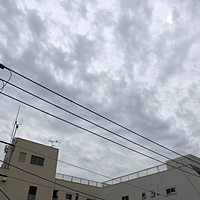 鍼灸予約 9月25日(火) 雨のち曇り 最高気温24℃(京都の鍼灸院　泰楽)サムネイル