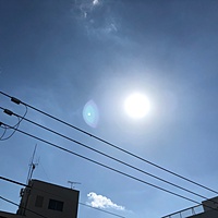 鍼灸予約 10月1日(月) 雨 最高気温21℃(京都の鍼灸院　泰楽)サムネイル