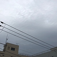 鍼灸予約 10月15日(月) 晴れのち曇り 最高気温22℃(京都の鍼灸院　泰楽)サムネイル