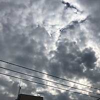 鍼灸予約 10月27日(土) 曇りのち晴れ 最高気温23℃(京都の鍼灸院　泰楽)サムネイル
