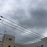 鍼灸予約 10月29日(月) 晴れのち曇り 最高気温22℃(京都の鍼灸院　泰楽)サムネイル