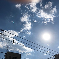 鍼灸予約 10月30日(火) 晴れのち曇り 最高気温21℃(京都の鍼灸院　泰楽)サムネイル