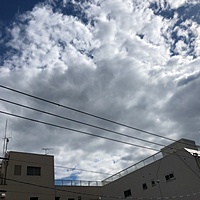 鍼灸予約 11月1日(木) 晴れ時々曇り 最高気温19℃(京都の鍼灸院　泰楽)サムネイル
