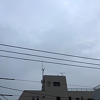 鍼灸予約 11月9日(金) 雨のち曇り 最高気温24℃(京都の鍼灸院　泰楽)サムネイル