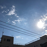 鍼灸予約 11月10日(土) 晴れ 最高気温22℃(京都の鍼灸院　泰楽)サムネイル