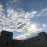 鍼灸予約 11月20日(火) 晴れのち曇り 最高気温16℃(京都の鍼灸院　泰楽)サムネイル