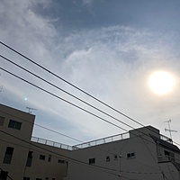 鍼灸予約 11月26日(月) 晴れのち曇り 最高気温17℃(京都の鍼灸院　泰楽)サムネイル