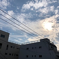 鍼灸予約 11月28日(水) 晴れのち雨 最高気温18℃(京都の鍼灸院　泰楽)サムネイル