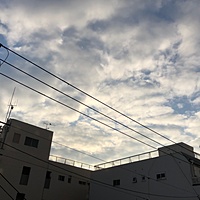 鍼灸予約 12月4日(火) 曇りのち雨 最高気温20℃(京都の鍼灸院　泰楽)サムネイル