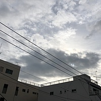 鍼灸予約 12月5日(水) 曇りのち晴れ 最高気温18℃(京都の鍼灸院　泰楽)サムネイル