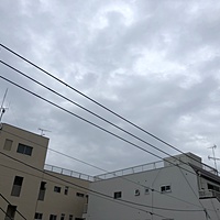 鍼灸予約 12月6日(木) 曇りのち雨 最高気温15℃(京都の鍼灸院　泰楽)サムネイル