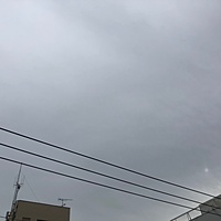鍼灸予約 12月7日(金) 曇り 最高気温15℃(京都の鍼灸院　泰楽)サムネイル