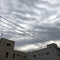 鍼灸予約 12月11日(火) 曇りのち雨 最高気温11℃(京都の鍼灸院　泰楽)サムネイル