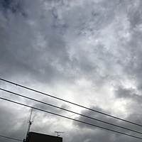 鍼灸予約 12月12日(水) 曇り 最高気温12℃(京都の鍼灸院　泰楽)サムネイル