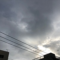 鍼灸予約 12月17日(月) 曇りのち晴れ 最高気温13℃(京都の鍼灸院　泰楽)サムネイル
