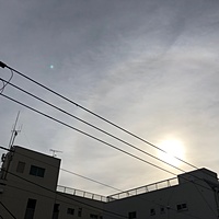 鍼灸予約 12月25日(火) 晴れ 最高気温11℃(京都の鍼灸院　泰楽)サムネイル