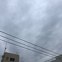 鍼灸予約 1月5日(土) 曇り 最高気温11℃(京都の鍼灸院　泰楽)サムネイル