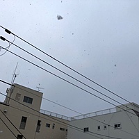 鍼灸予約 1月9日(水) 曇りのち晴れ 最高気温7℃(京都の鍼灸院　泰楽)サムネイル