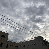 鍼灸予約 1月10日(木) 曇りのち晴れ 最高気温9℃(京都の鍼灸院　泰楽)サムネイル