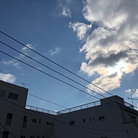 鍼灸予約 1月16日(水) 曇り 最高気温9℃(京都の鍼灸院　泰楽)サムネイル