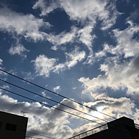 鍼灸予約 1月18日(金) 曇り 最高気温9℃(京都の鍼灸院　泰楽)サムネイル