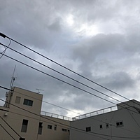 鍼灸予約 1月21日(月) 曇りのち晴れ 最高気温9℃(京都の鍼灸院　泰楽)サムネイル