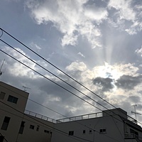 鍼灸予約 1月24日(木) 曇り 最高気温8℃(京都の鍼灸院　泰楽)サムネイル