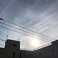 鍼灸予約 1月25日(金) 曇り 最高気温8℃(京都の鍼灸院 泰楽)サムネイル