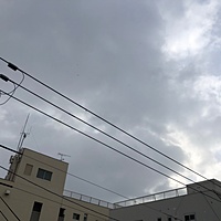 鍼灸予約 1月26日(土) 曇りのち雪 最高気温5℃(京都の鍼灸院 泰楽)サムネイル