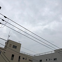 鍼灸予約 1月28日(月) 曇り 最高気温10℃(京都の鍼灸院 泰楽)サムネイル