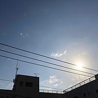鍼灸予約 1月29日(火) 曇りのち晴れ 最高気温8℃(京都の鍼灸院 泰楽)サムネイル