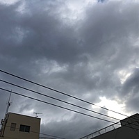 鍼灸予約 2月1日(金) 曇り 最高気温7℃(京都の鍼灸院 泰楽)サムネイル