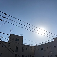 鍼灸予約 2月2日(土) 晴れ 最高気温10℃(京都の鍼灸院 泰楽)サムネイル