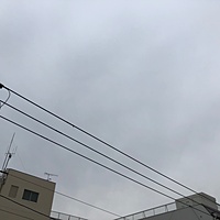 鍼灸予約 2月9日(土) 曇り 最高気温7℃(京都の鍼灸院 泰楽)サムネイル