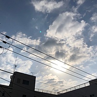 鍼灸予約 2月13日(水) 曇りのち晴れ 最高気温10℃(京都の鍼灸院 泰楽)サムネイル