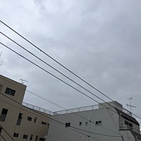 鍼灸予約 2月14日(木) 曇りのち晴れ 最高気温7℃(京都の鍼灸院 泰楽)サムネイル