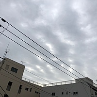 鍼灸予約 2月15日(金) 晴れのち曇り 最高気温9℃(京都の鍼灸院 泰楽)サムネイル
