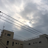 鍼灸予約 2月16日(土) 曇り 最高気温10℃(京都の鍼灸院 泰楽)サムネイル