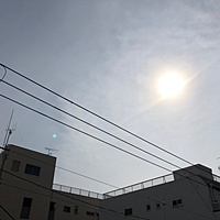 鍼灸予約 2月18日(月) 晴れ 最高気温12℃(京都の鍼灸院 泰楽)サムネイル