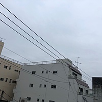 鍼灸予約 2月19日(火) 雨 最高気温10℃(京都の鍼灸院 泰楽)サムネイル