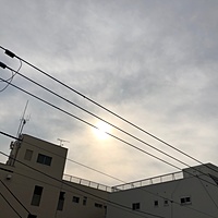 鍼灸予約 2月22日(金) 曇り 最高気温12℃(京都の鍼灸院 泰楽)サムネイル