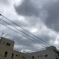鍼灸予約 2月23日(金) 曇り時々晴れ 最高気温12℃(京都の鍼灸院 泰楽)サムネイル