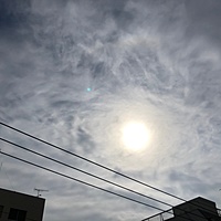 鍼灸予約 2月25日(月) 晴れ 最高気温17℃(京都の鍼灸院 泰楽)サムネイル