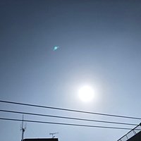 鍼灸予約 3月5日(火) 晴れ 最高気温16℃(京都の鍼灸院 泰楽)サムネイル