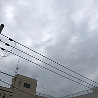 鍼灸予約 3月6日(水) 曇りのち雨 最高気温15℃(京都の鍼灸院 泰楽)サムネイル