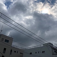 鍼灸予約 3月7日(木) 曇りのち雨 最高気温12℃(京都の鍼灸院 泰楽)サムネイル