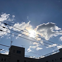 鍼灸予約 3月8日(金) 曇りのち晴れ 最高気温12℃(京都の鍼灸院 泰楽)サムネイル