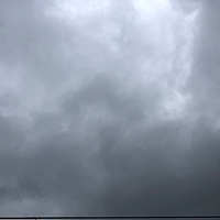 鍼灸予約 3月11日(月) 雨のち曇り 最高気温14℃(京都の鍼灸院 泰楽)サムネイル