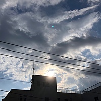 鍼灸予約 3月13日(水) 曇りのち晴れ 最高気温13℃(京都の鍼灸院 泰楽)サムネイル
