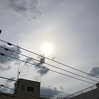 鍼灸予約 3月23日(土) 曇り 最高気温12℃(京都の鍼灸院 泰楽)サムネイル